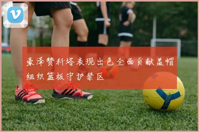 豪泽赞科塔表现出色全面贡献盖帽组织篮板守护禁区
