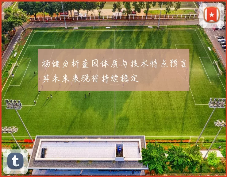 杨健分析奎因体质与技术特点预言其未来表现将持续稳定